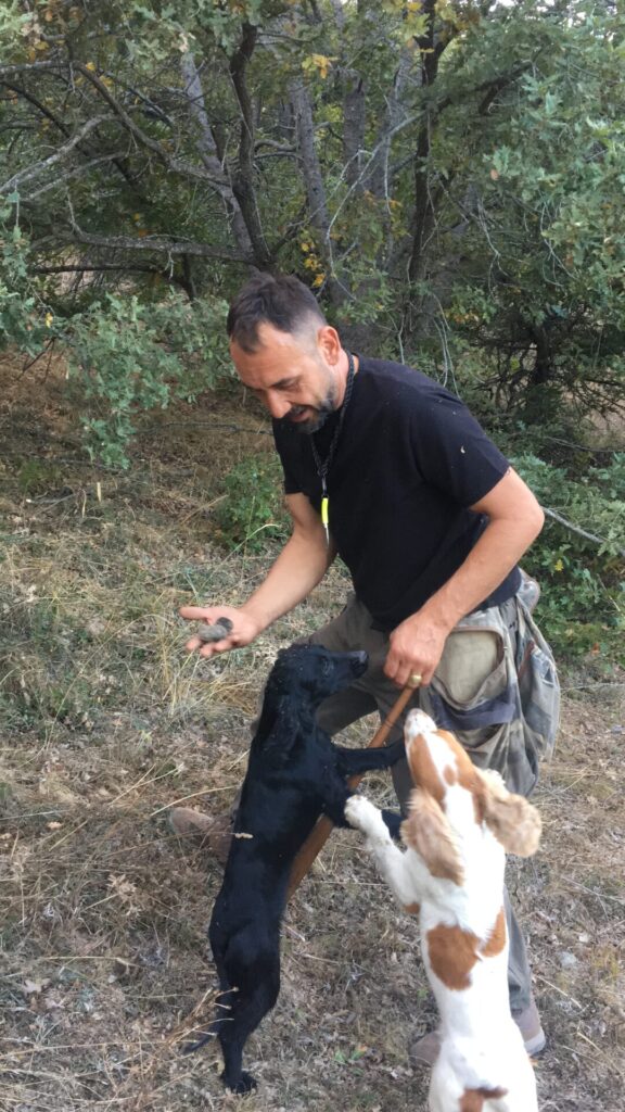 Profesyonel trüf avcısı Levent Şentürk