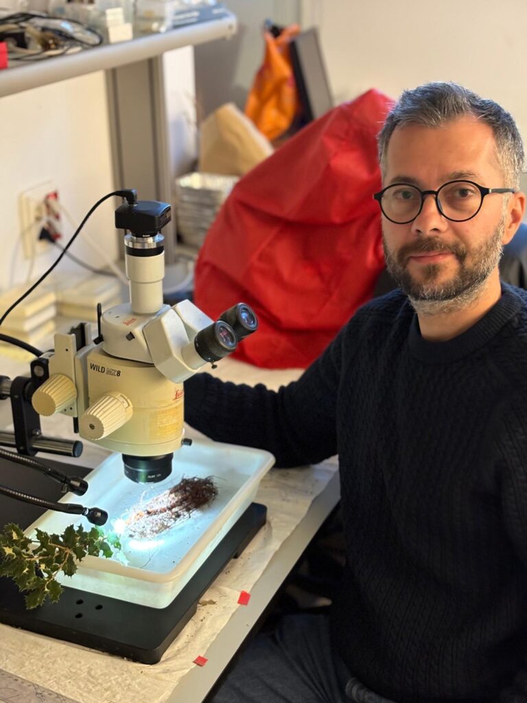 Fidan Sertifikasyonu